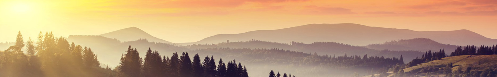 福建省智信招標(biāo)有限公司